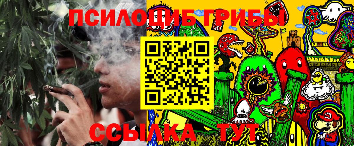 Галлюциногенные грибы Cubensis Тобольск