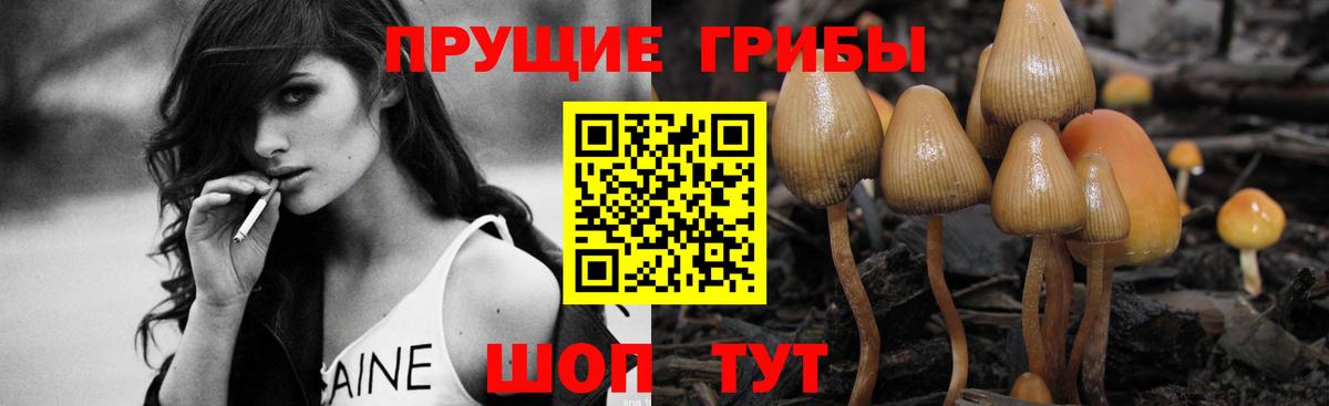 Галлюциногенные грибы мицелий  Вход с VPN  Тобольск 